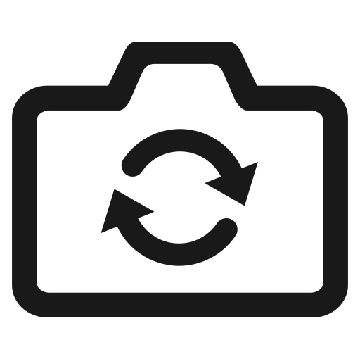 Switch Camera